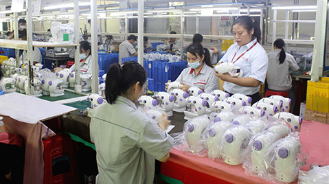Production Line Finished Product Inspection